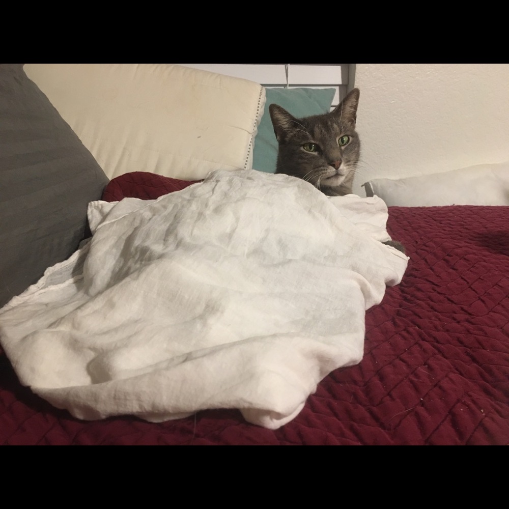 Meet your Posher, Dani